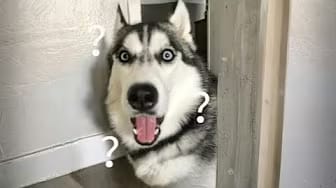 Post 10 by Dream Spire on YouTube (video)
