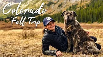 Post 1 by Adventure Calls on YouTube (video)