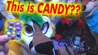 Post 4 by Pineapple Fox on YouTube (video)