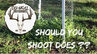 Post 5 by Old Skull Outdoors on YouTube (video)