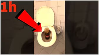 Post 8 by 4 Degree on YouTube (video)