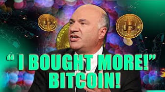 Post 6 by Primed Invest on YouTube (video)