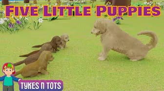 Post 2 by Tykes n Tots on YouTube (video)