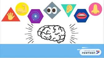 Post 8 by SensoryFun! Toolkit on YouTube (video)