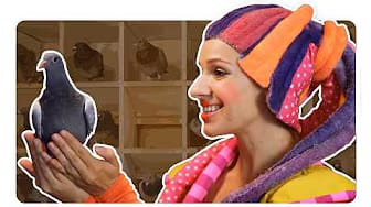 Post 10 by FeeLaLa English – Kids Songs & Baby Music on YouTube (video)