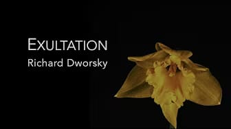 Post 9 by Richard Dworsky - Official on YouTube (video)