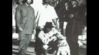 Post 10 by Black Gang on YouTube (video)