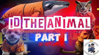 Post 1 by The Animal Kingdom Unit! - Learning is Wild Fun! on YouTube (video)