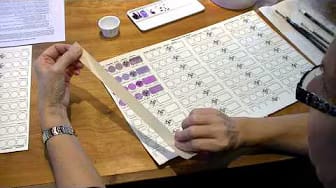 Post 6 by Susan Avis Murphy on YouTube (video)