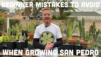 Post 8 by Mallacht's Plants on YouTube (video)