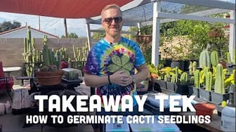 Post 7 by Mallacht's Plants on YouTube (video)