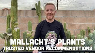 Post 4 by Mallacht's Plants on YouTube (video)