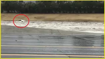 Post 2 by News 4Dummies on YouTube (video)