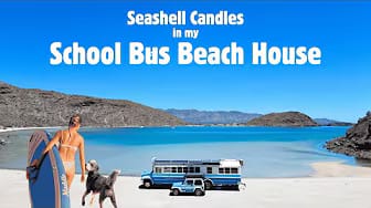 Post 6 by Bluenose Bus on YouTube (video)
