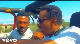 Post 2 by Shewandagne Hailu on YouTube (video)