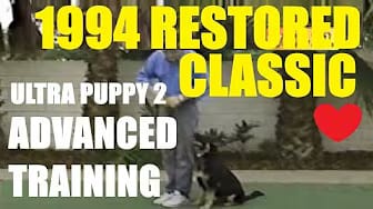 Post 2 by Pooch School™ - by  Paul Moran on YouTube (video)