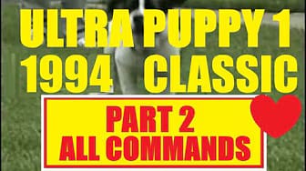 Post 3 by Pooch School™ - by  Paul Moran on YouTube (video)