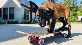 Post 2 by This Beautiful Crazy Life on YouTube (video)