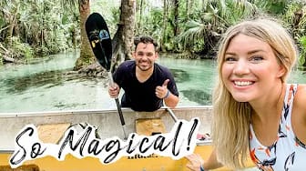 Post 8 by Amanda Miller on YouTube (video)