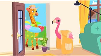 Post 8 by Zoo Troop on YouTube (video)