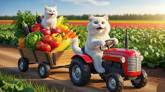 Post 3 by Meow Living Channel on YouTube (video)