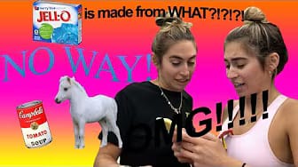 Post 10 by Lexi on YouTube (video)