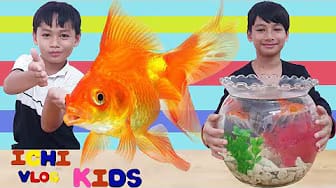 Post 1 by ichi vlog kids on YouTube (video)