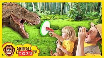 Post 3 by Animals & Toys TV on YouTube (video)