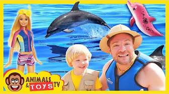 Post 5 by Animals & Toys TV on YouTube (video)