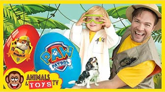 Post 4 by Animals & Toys TV on YouTube (video)