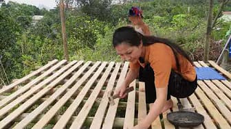 Post 2 by Thu Ha Daily on YouTube (video)