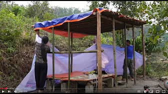 Post 4 by Thu Ha Daily on YouTube (video)