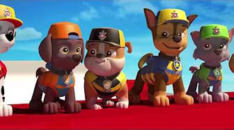 Post 3 by paw for kids 2017 on YouTube (video)