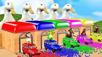 Post 7 by 3D ANIMALS on YouTube (video)