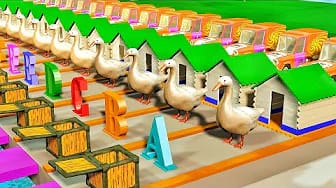 Post 6 by 3D ANIMALS on YouTube (video)