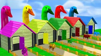 Post 3 by 3D ANIMALS on YouTube (video)