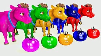 Post 2 by 3D ANIMALS on YouTube (video)