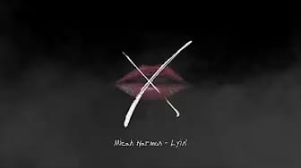 Post 1 by Micah Harmon on YouTube (video)