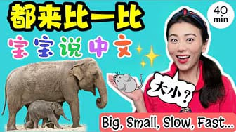 Post 9 by 悦儿姐姐 Tiny Mandarin Stars on YouTube (video)
