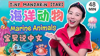 Post 7 by 悦儿姐姐 Tiny Mandarin Stars on YouTube (video)