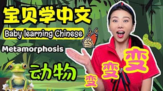 Post 2 by 悦儿姐姐 Tiny Mandarin Stars on YouTube (video)