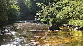 Post 4 by The Quiet Rebuild on YouTube (video)