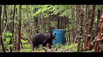 Post 1 by Heavenly Outdoor Adventures on YouTube (video)
