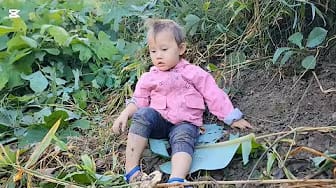 Post 1 by Ly Tieu Giao on YouTube (video)