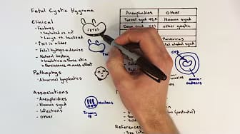 Post 7 by Learn Medical Genetics on YouTube (video)