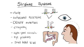 Post 3 by Learn Medical Genetics on YouTube (video)