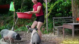 Post 6 by Thu Ha Farm on YouTube (video)
