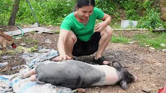 Post 4 by Thu Ha Farm on YouTube (video)