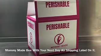 Post 2 by Mommy Made Encapsulation on YouTube (video)