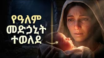 Post 4 by አልፋ Alpha Tube on YouTube (video)